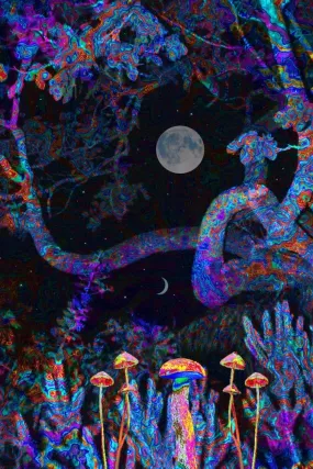 5th Dimension Plexi Glass Wall Art