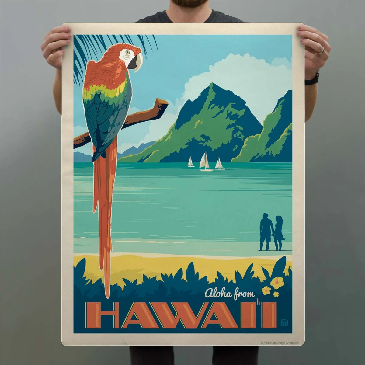 Aloha From Hawaii Parrot Decal