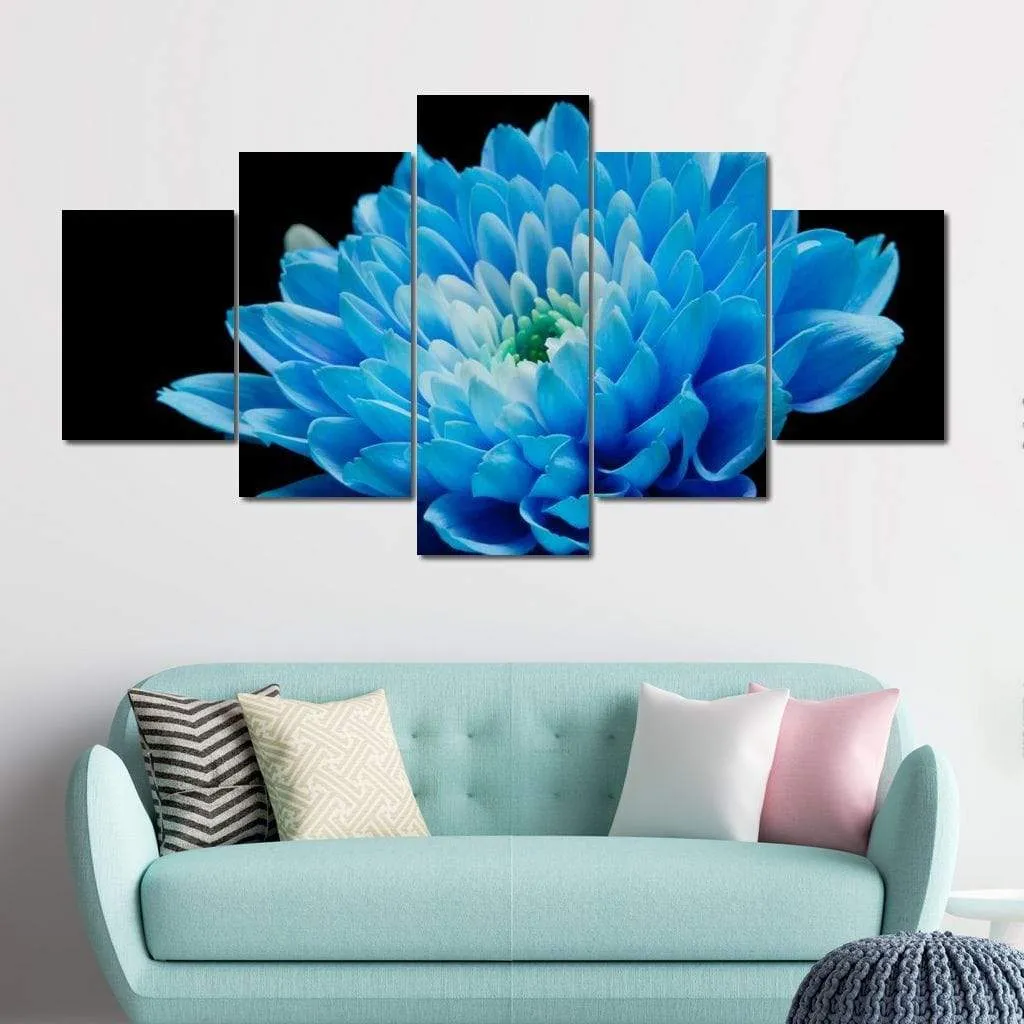 Blue Flower on Black Background