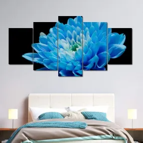Blue Flower on Black Background