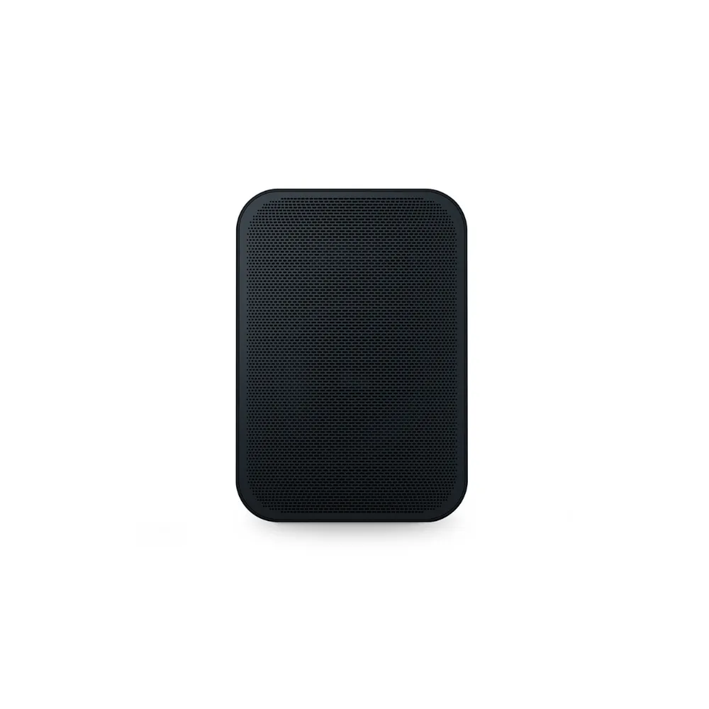 Bluesound PULSE FLEX 2i Speaker