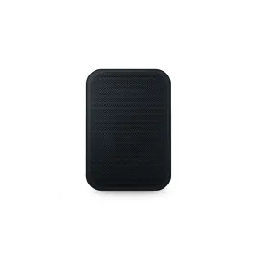 Bluesound PULSE FLEX 2i Speaker