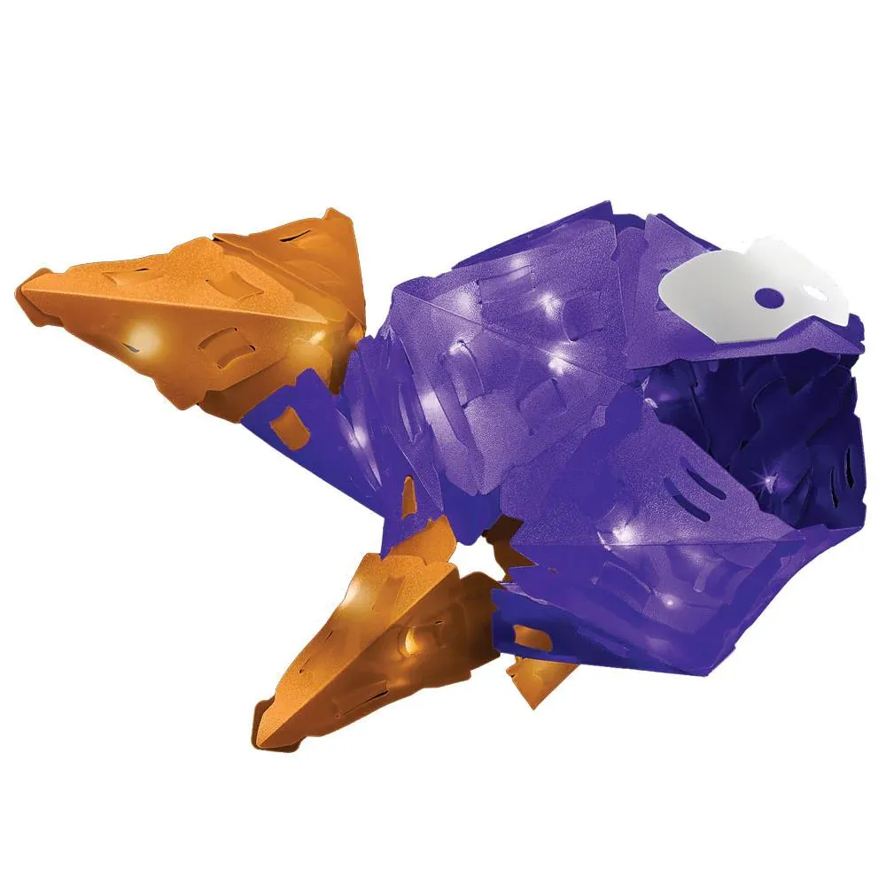 Creatto 3D Light Up Kit - Flashy Fish & Silly Swimmers