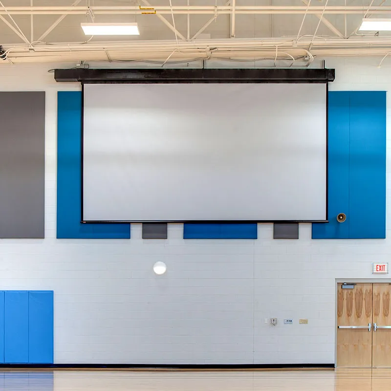 Draper Rolleramic Electric Projection Screen [Custom]