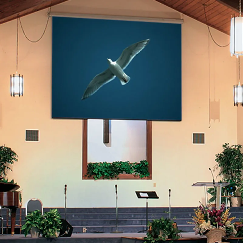 Draper Targa [HDTV 16:9] Electric Retractable Projection Screen 110" (54" x 96") 116469U