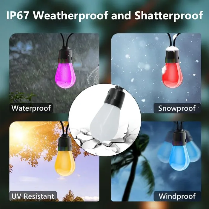 Garden campsite multi-function and multi-colour festoon lights 12v&240v