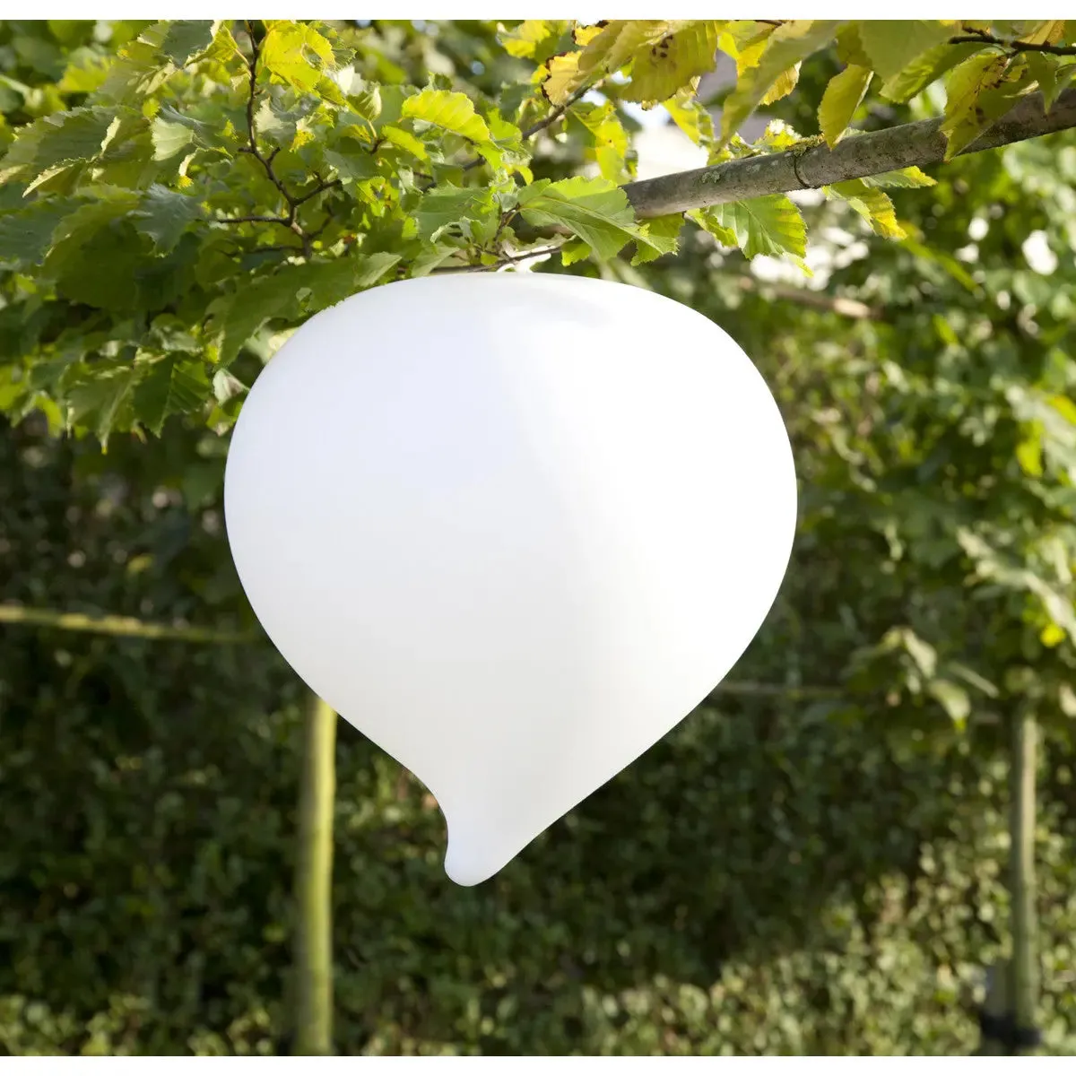 Imagilights Teardrop table lamp