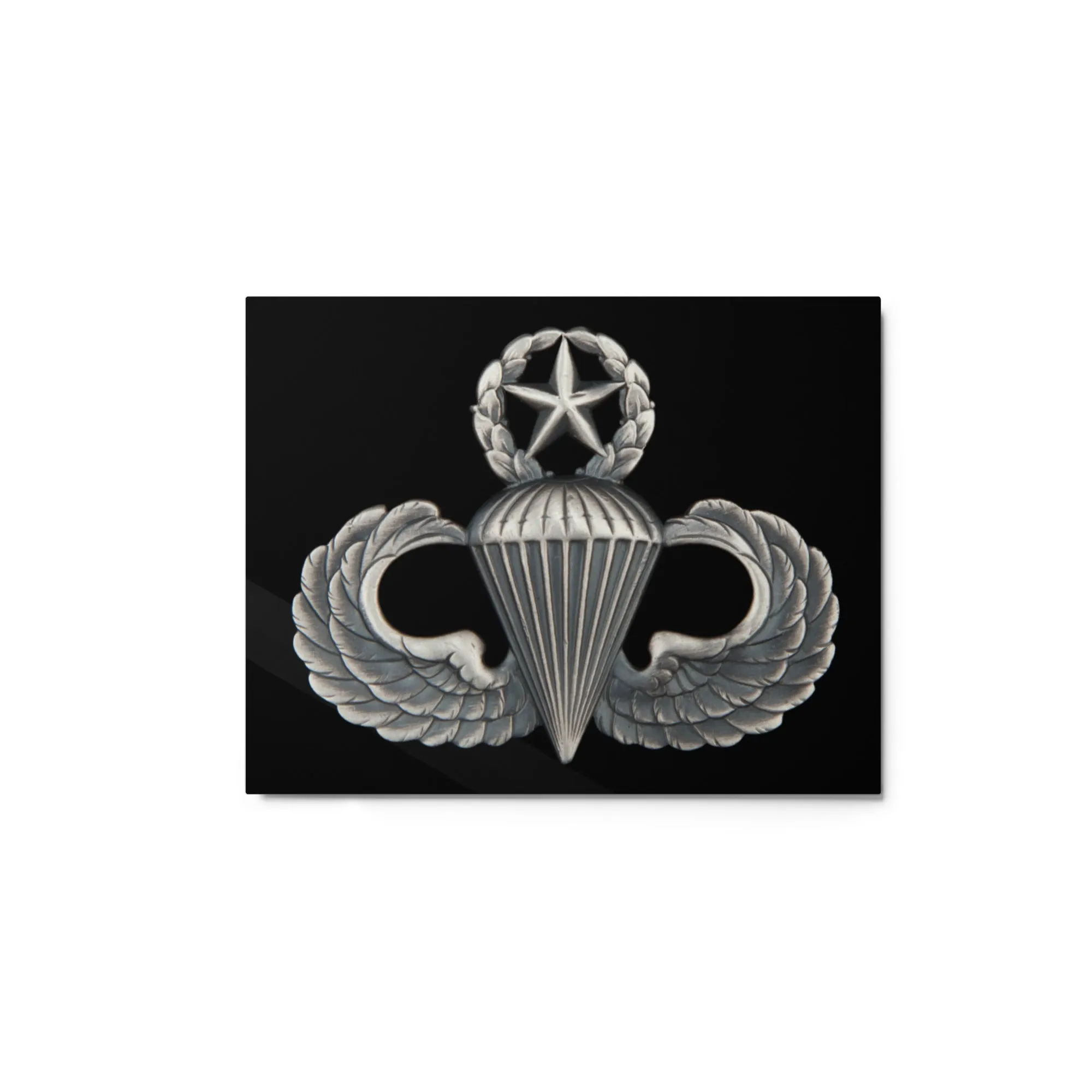 Master Airborne Metal prints