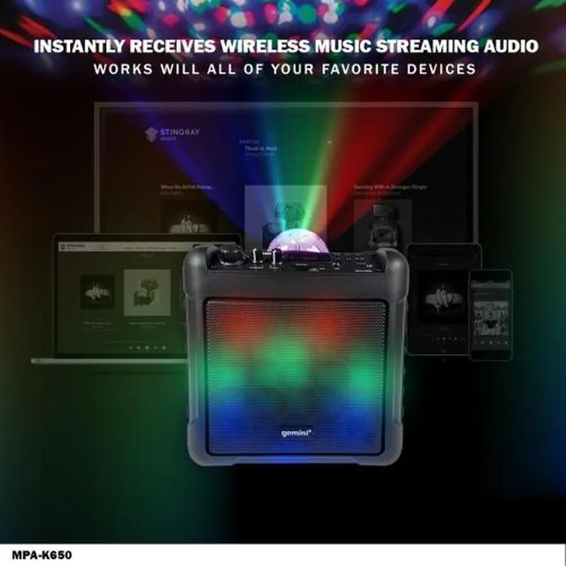 MPA-K650: Karaoke Party Speaker