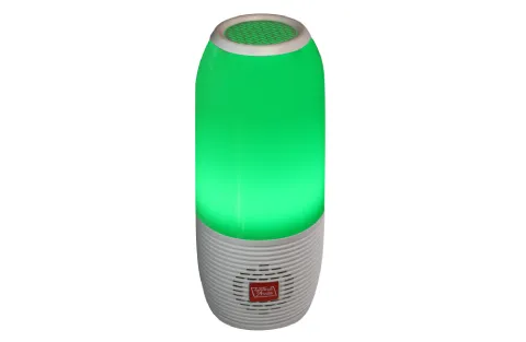 Portable Bluetooth Speaker with FM and Micro-SD Support