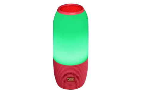 Portable Bluetooth Speaker with FM and Micro-SD Support