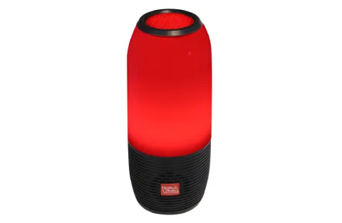 Portable Bluetooth Speaker with FM and Micro-SD Support