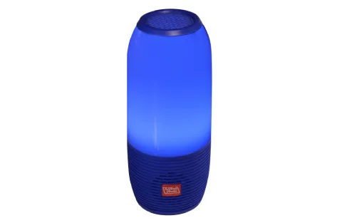 Portable Bluetooth Speaker with FM and Micro-SD Support