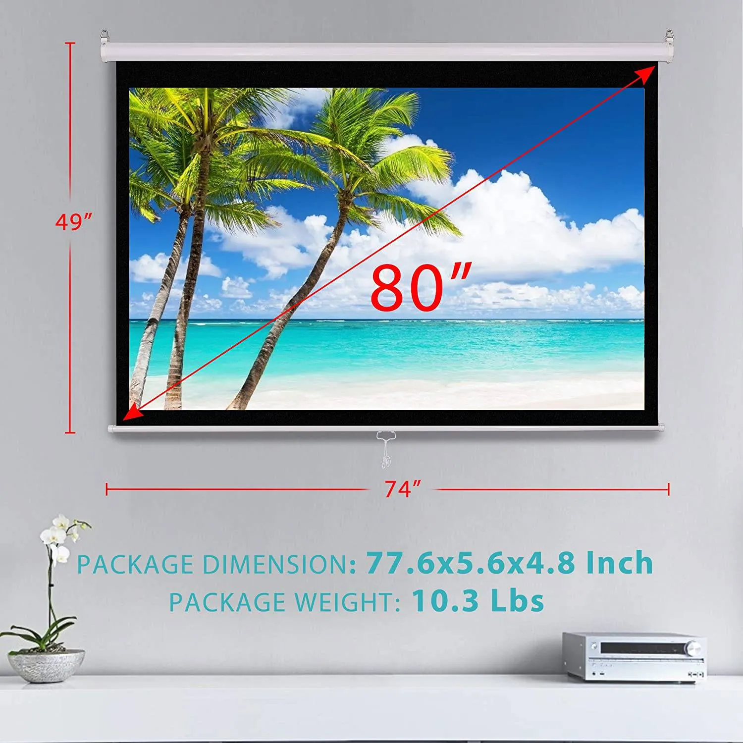 VIVOHOME 80 Inch Manual Pull Down Projector Screen, 16:9 HD Retractable Widescreen Matte for Movie Home Theater Cinema Office Video Game